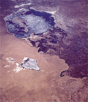 arala jura