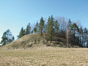 selija