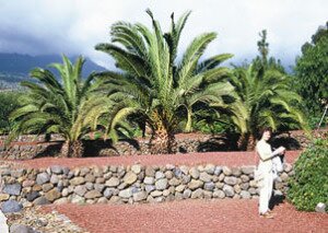 Etnographic Park Guimar pyramids Tenerife Canary Islands Spain