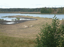 helsinki