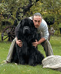 rukitis